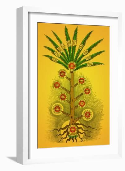 Tree of Life, Etz haChayim-Science Source-Framed Giclee Print