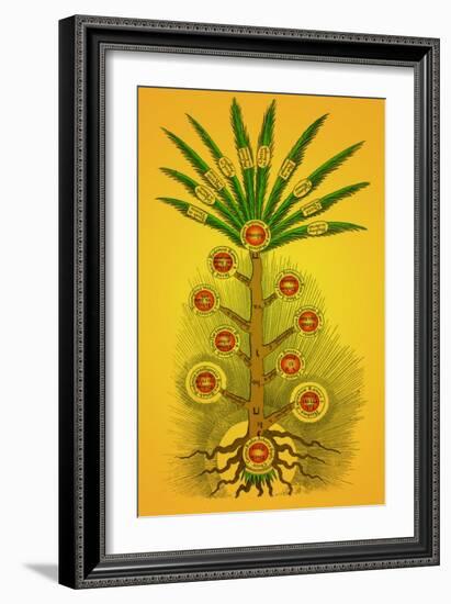 Tree of Life, Etz haChayim-Science Source-Framed Giclee Print