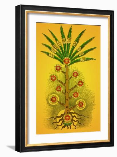 Tree of Life, Etz haChayim-Science Source-Framed Giclee Print