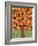 Tree of Life - Orange-Kerri Ambrosino-Framed Giclee Print