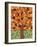 Tree of Life - Orange-Kerri Ambrosino-Framed Giclee Print