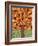 Tree of Life - Orange-Kerri Ambrosino-Framed Giclee Print