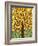 Tree of Life - Yellow-Kerri Ambrosino-Framed Giclee Print