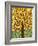 Tree of Life - Yellow-Kerri Ambrosino-Framed Giclee Print