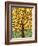 Tree of Life - Yellow-Kerri Ambrosino-Framed Giclee Print