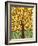 Tree of Life - Yellow-Kerri Ambrosino-Framed Giclee Print