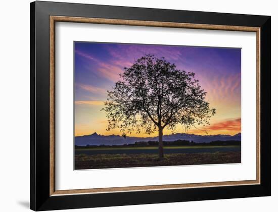 Tree of Life-Paolo De Faveri-Framed Giclee Print