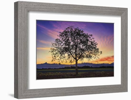 Tree of Life-Paolo De Faveri-Framed Giclee Print