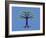 Tree of Life-Steven Wilson-Framed Giclee Print