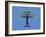 Tree of Life-Steven Wilson-Framed Giclee Print