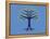 Tree of Life-Steven Wilson-Framed Premier Image Canvas