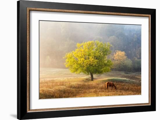 Tree of Life-Sebastian Prioteasa-Framed Giclee Print