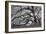 Tree of Light BW FL-Moises Levy-Framed Photographic Print