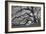 Tree of Light BW FL-Moises Levy-Framed Photographic Print