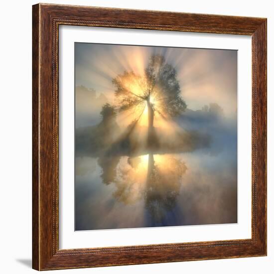 Tree of light-null-Framed Photographic Print