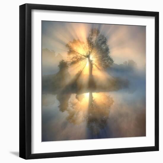 Tree of light-null-Framed Photographic Print