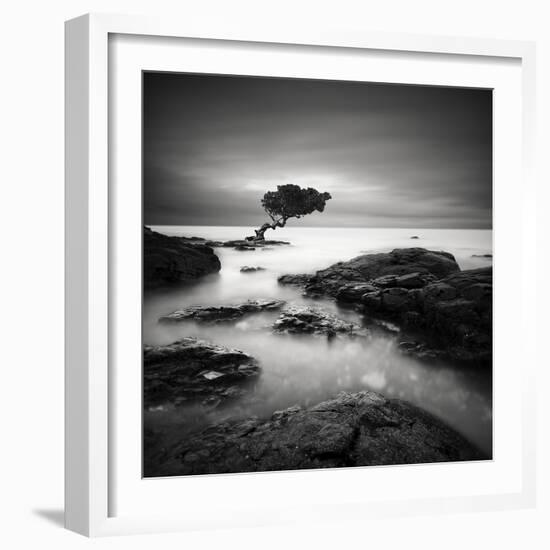 Tree Of Temptation-Rob Cherry-Framed Giclee Print