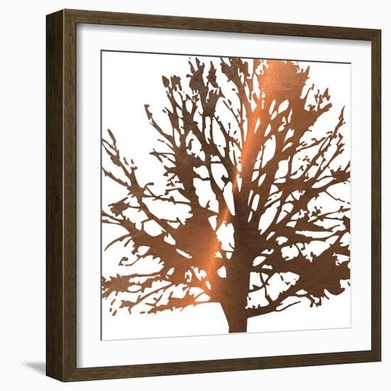 Tree of Wisdom 1-Sheldon Lewis-Framed Art Print