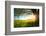 Tree on a Green Meadow at Sunset-Dudarev Mikhail-Framed Photographic Print