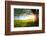 Tree on a Green Meadow at Sunset-Dudarev Mikhail-Framed Photographic Print