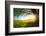 Tree on a Green Meadow at Sunset-Dudarev Mikhail-Framed Photographic Print