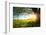 Tree on a Green Meadow at Sunset-Dudarev Mikhail-Framed Photographic Print