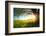 Tree on a Green Meadow at Sunset-Dudarev Mikhail-Framed Photographic Print