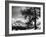 Tree on Alpine Slopes of Winter Resort. Peak in Background in Piz Corvatsch-Alfred Eisenstaedt-Framed Photographic Print