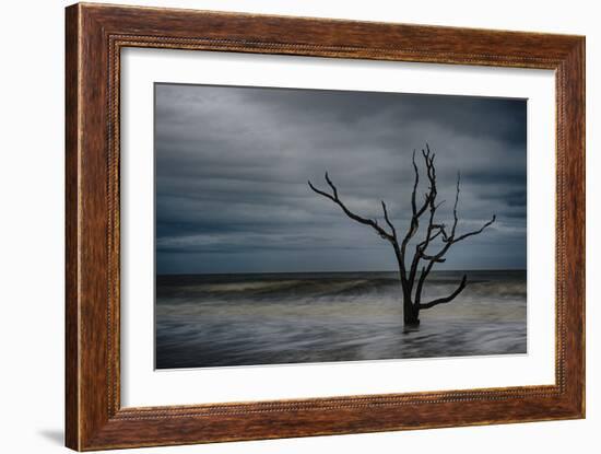 Tree on Botany Bay-Robert Lott-Framed Art Print