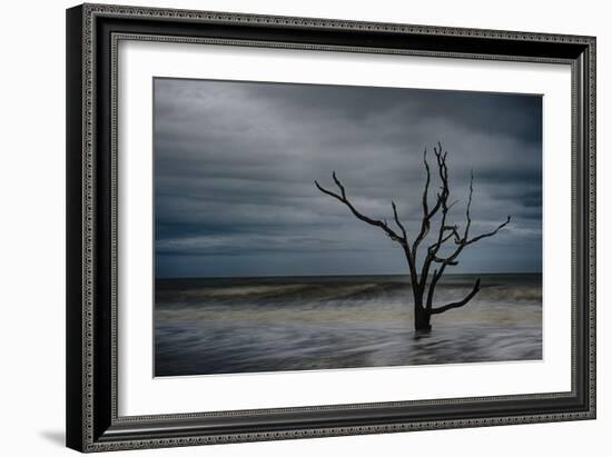 Tree on Botany Bay-Robert Lott-Framed Art Print