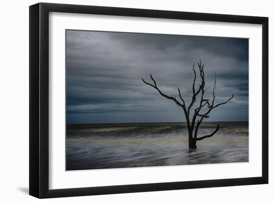 Tree on Botany Bay-Robert Lott-Framed Art Print