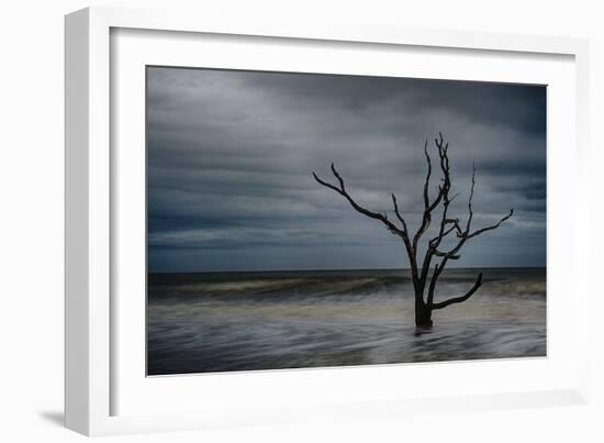 Tree on Botany Bay-Robert Lott-Framed Art Print