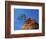 Tree on cliff, Zion National Park, Utah, USA-Roland Gerth-Framed Photographic Print