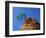 Tree on cliff, Zion National Park, Utah, USA-Roland Gerth-Framed Photographic Print