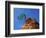 Tree on cliff, Zion National Park, Utah, USA-Roland Gerth-Framed Photographic Print