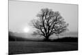 Photographic Print