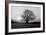 Tree on Fields-null-Framed Photographic Print