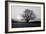 Tree on Fields-null-Framed Photographic Print