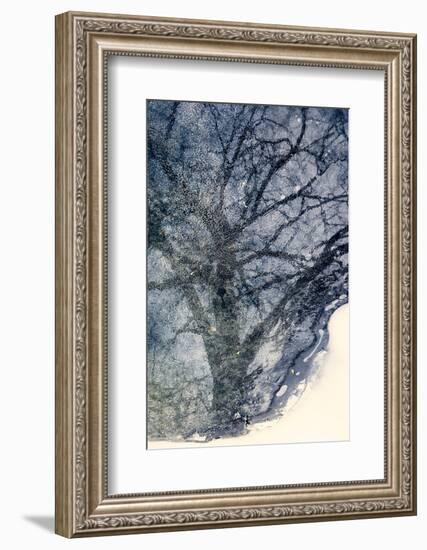 Tree on Ice-Ursula Abresch-Framed Photographic Print