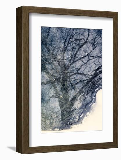 Tree on Ice-Ursula Abresch-Framed Photographic Print