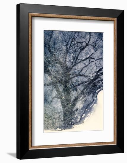 Tree on Ice-Ursula Abresch-Framed Photographic Print