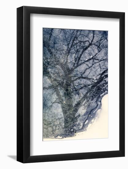 Tree on Ice-Ursula Abresch-Framed Photographic Print