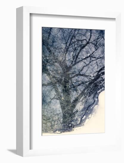 Tree on Ice-Ursula Abresch-Framed Photographic Print