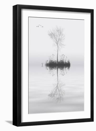 Tree on Lake Landscape Solitude Concept-Veneratio-Framed Art Print