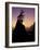 Tree on Seastack, Shi Shi Beach, Olympic National Park, Washington, USA-Adam Jones-Framed Photographic Print