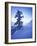 Tree on Snow Covered Hill-Jim Zuckerman-Framed Photographic Print