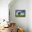 Tree on the Edge of a Rape Field in the Spring, Saalekreis, Saxony-Anhalt, Germany-Andreas Vitting-Framed Premier Image Canvas displayed on a wall