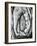 Tree, Oregon, 1971-Brett Weston-Framed Photographic Print