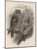 Tree Owls 1902-Vintage Apple Collection-Mounted Giclee Print