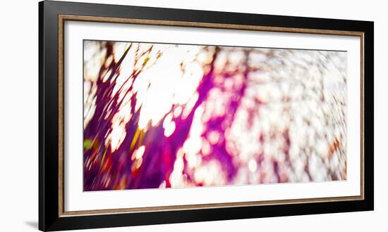 Tree Pallette, 2017, (Manipulated Photography)-Helen White-Framed Photographic Print